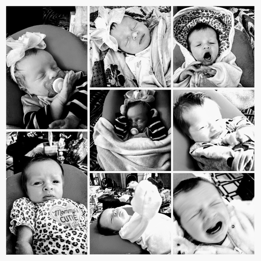 Introducing Scarlet - Picture 2 of 5